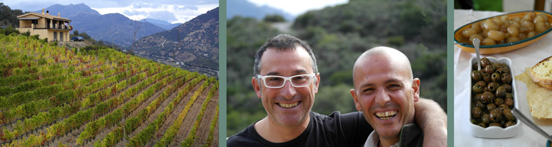 Moreno vineyard