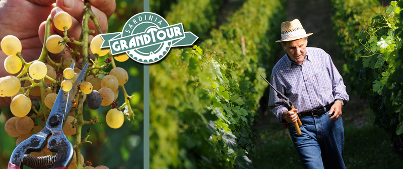Emilio Oggianu wine maker