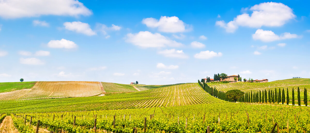 Tuscany Family Experience main pictures
