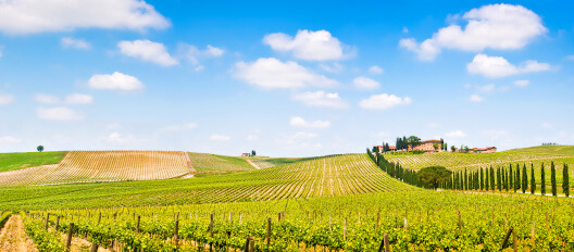 The Chianti countryside in Tuscany