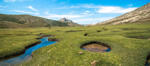 Inner Corsica