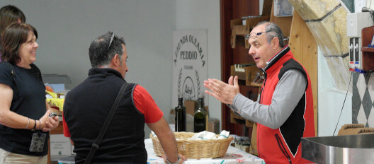 Olive Oil Tasting in Sardinia