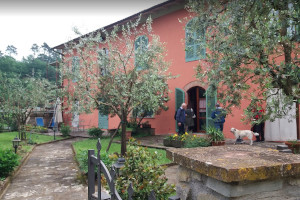 Visit of a real italian farm
