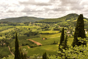 The Chianti countryside
