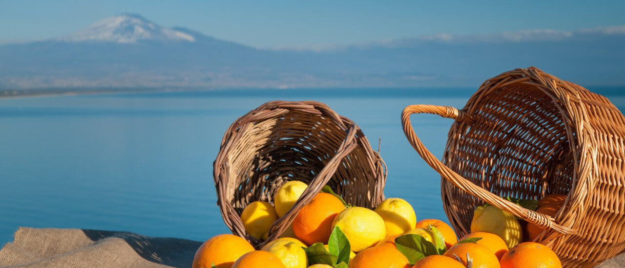 Citrus of Sicily