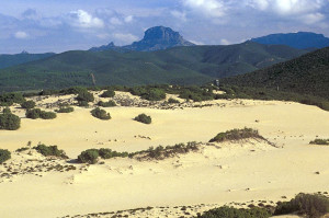 The dune of Piscinas
