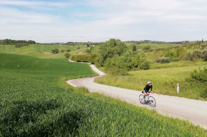 The Crete Senesi landscape
