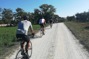 The Eroica routes
